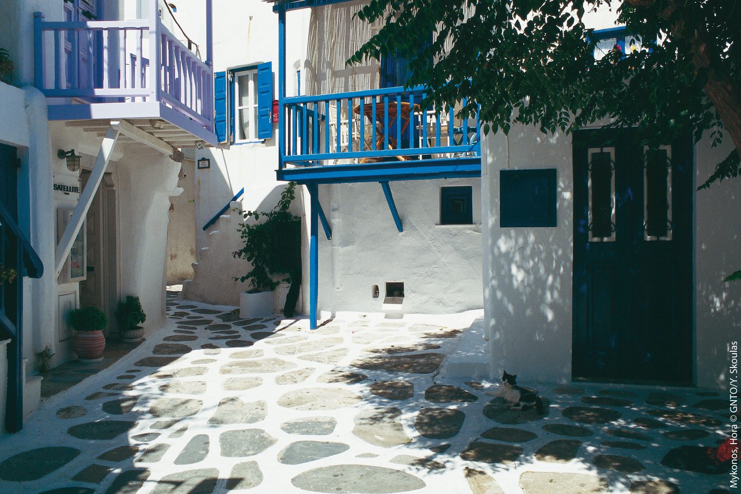 Mykonos City & Island Tour