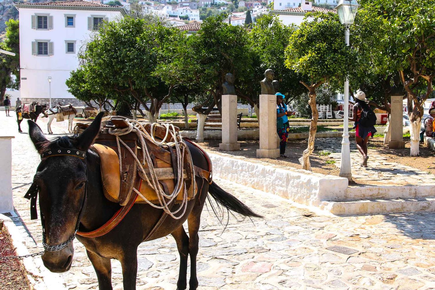 Hydra Island