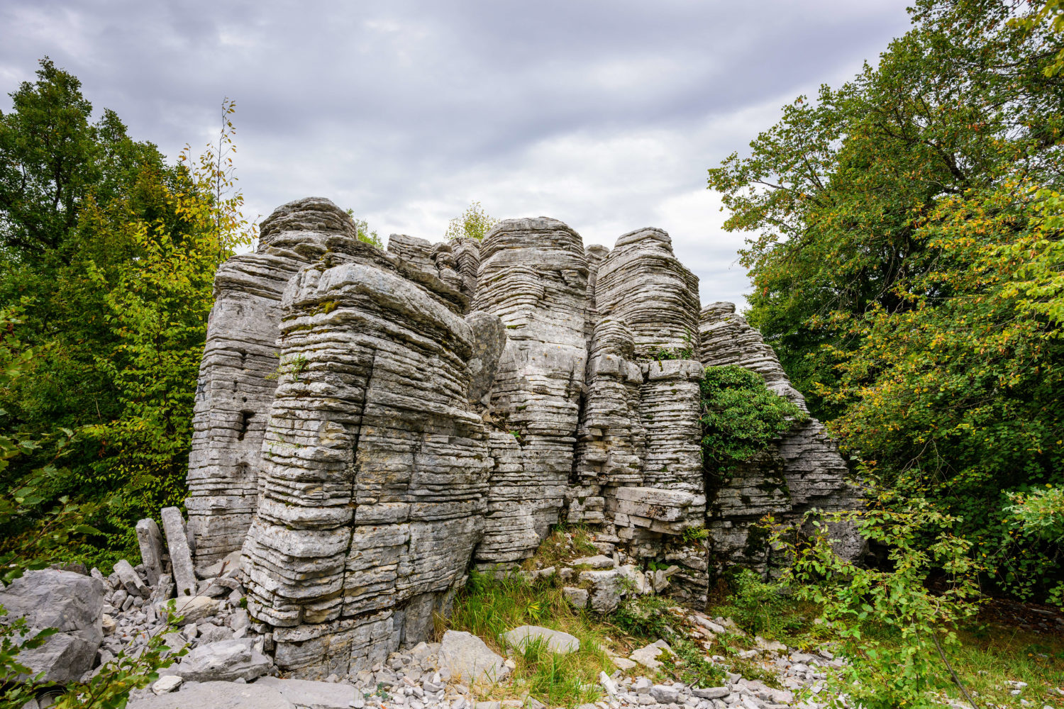 Zagori Stone Forest