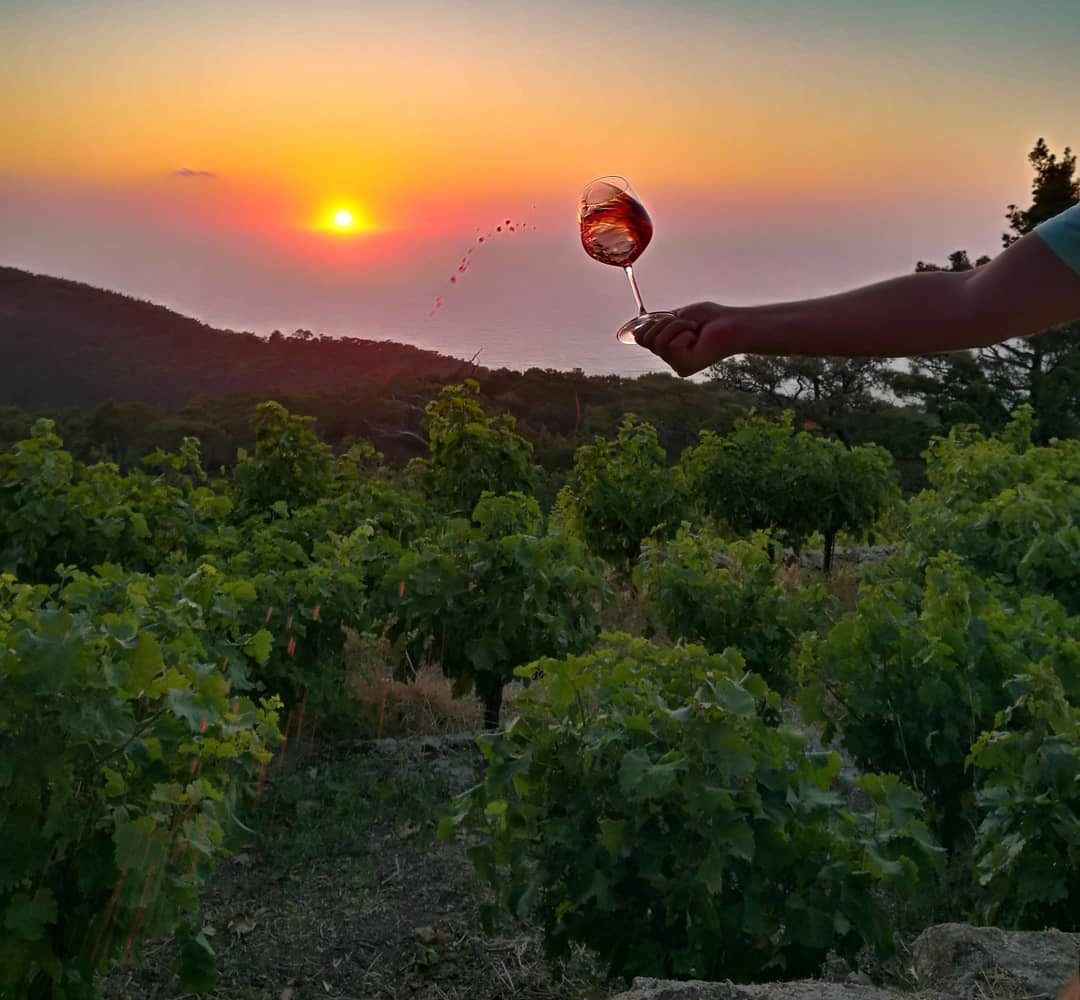 Ikaria Wine Tasting