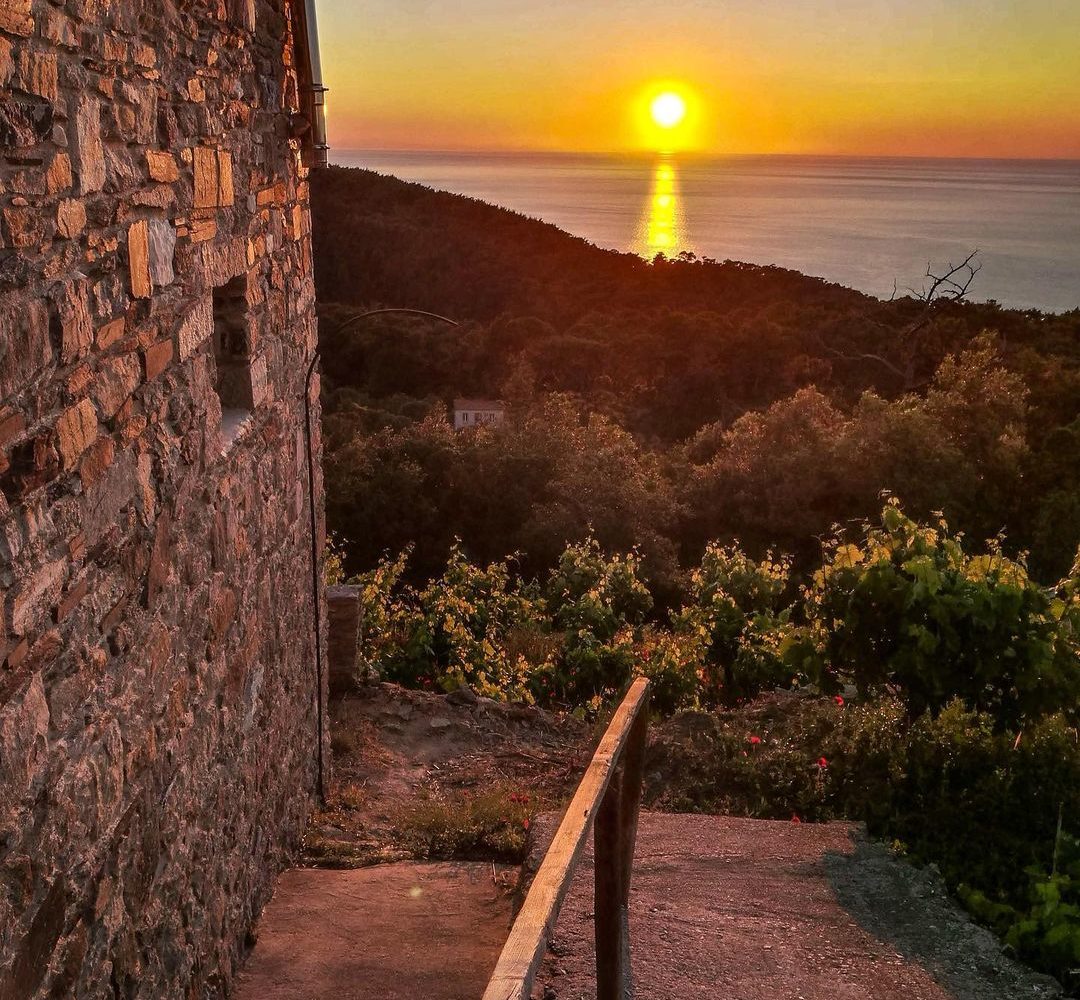 Ikaria Wine Tasting